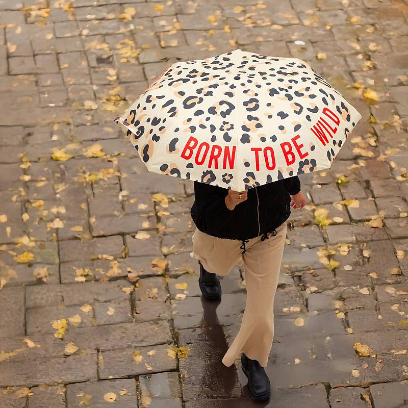 PARAGUAS PLEGABLE BORN TO BE WILD