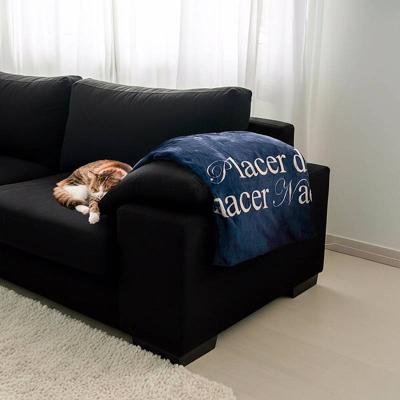 MANTA EL PLACER DE NO HACER NADA.