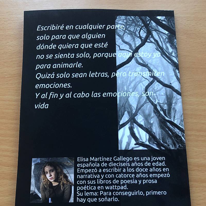 LIBRO CIMIENTOS DE MIS RUINAS.